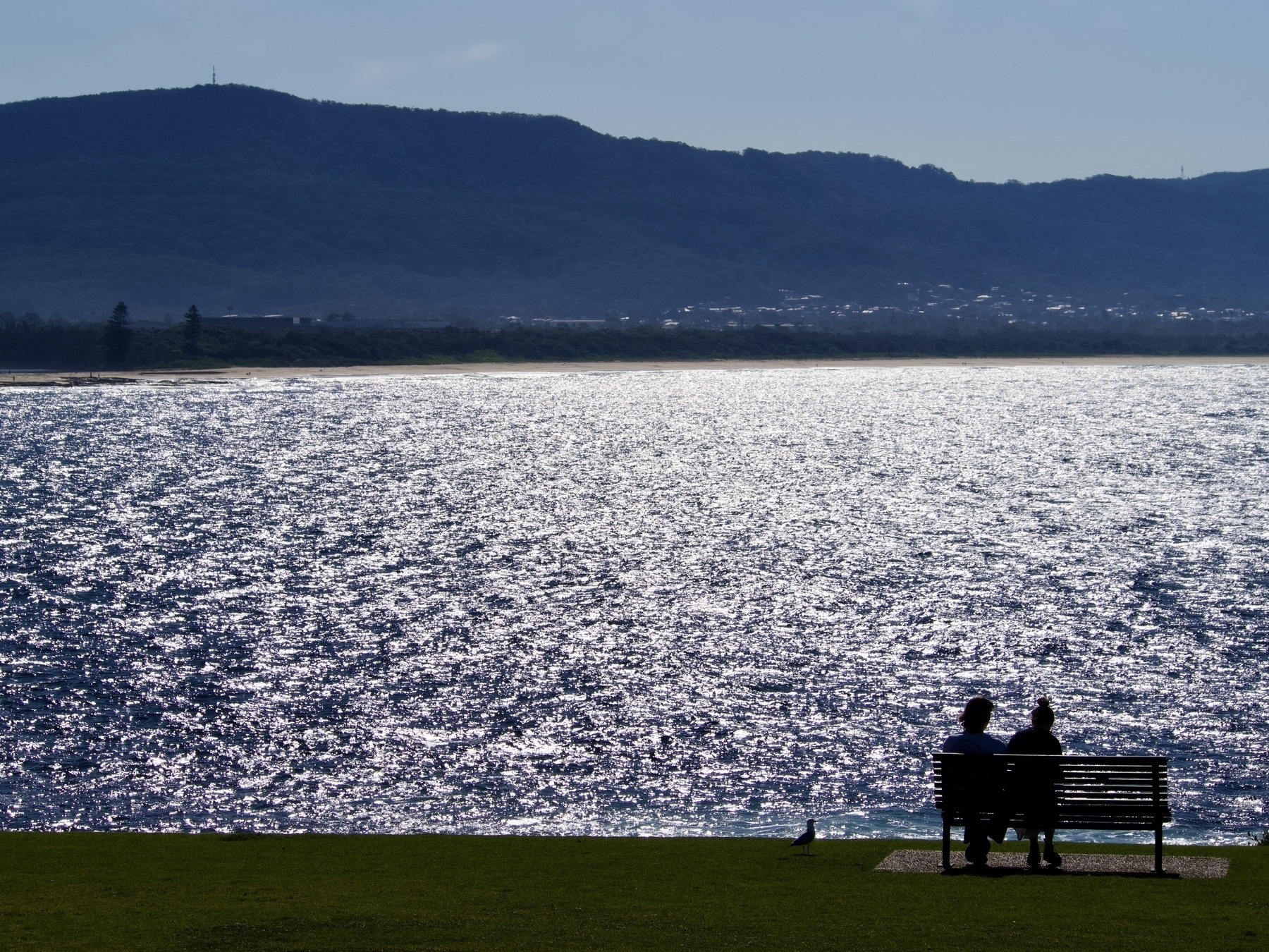 A couple sits on a bench next to a seagull, overlooking a shimmering ocean with a city and mountain escarpment in the distance.