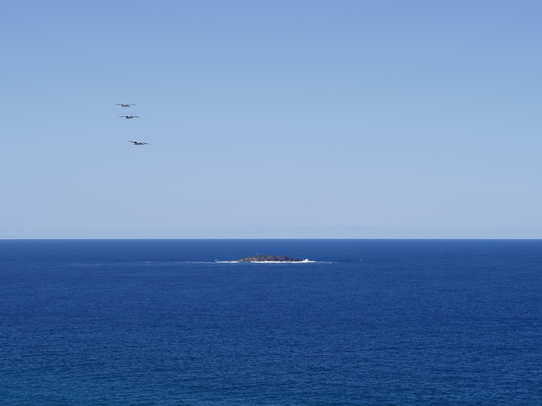 Three pelicans fly over the sea towards an island.
