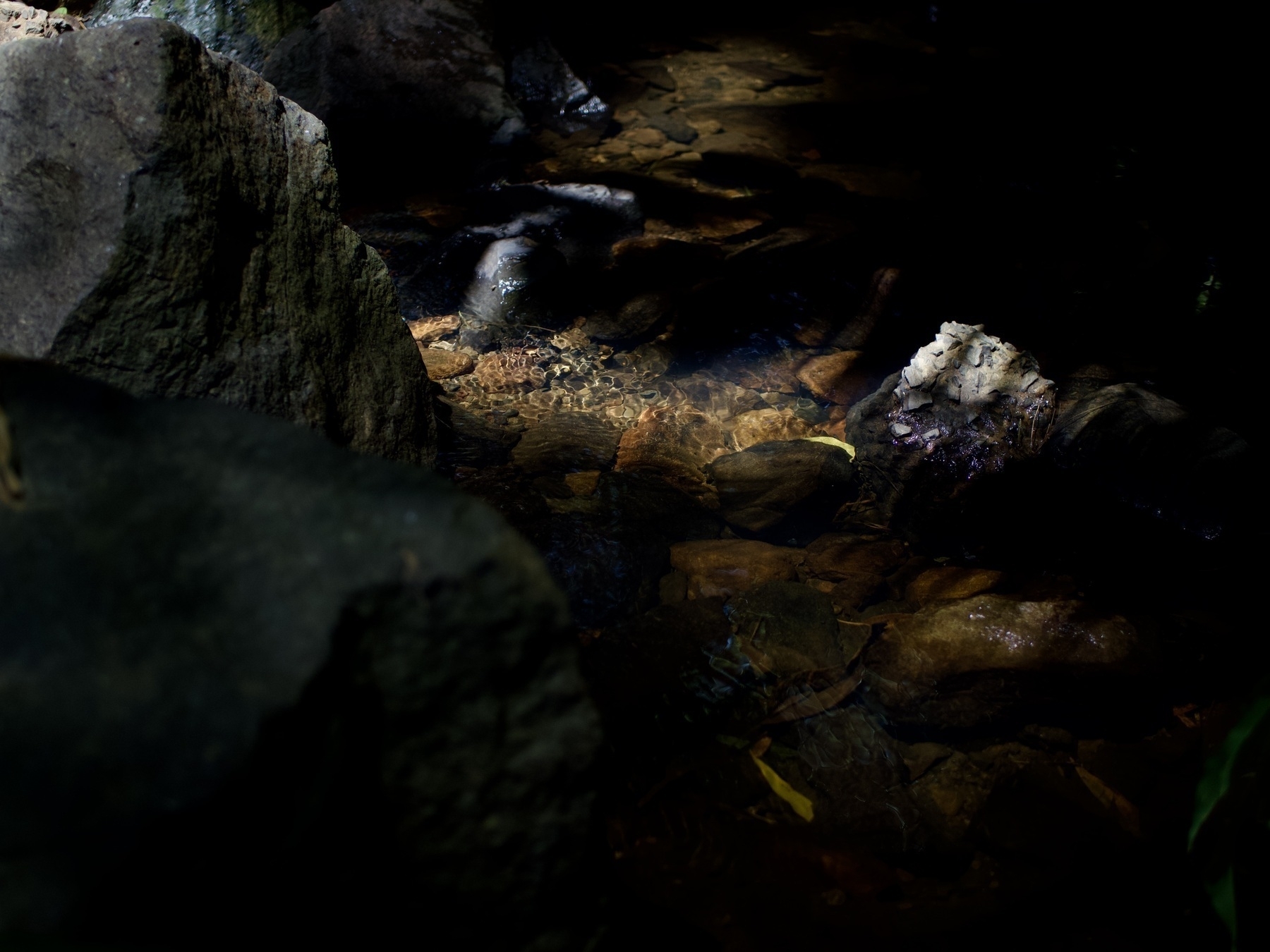 A shadowy view of a rocky creek